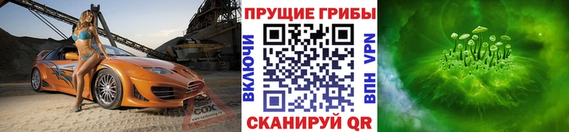 Псилоцибиновые грибы мицелий  Купить  Ужур 